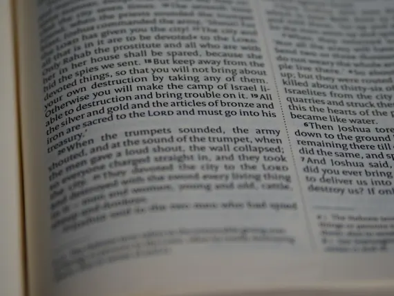 TopTally Casino Suporte